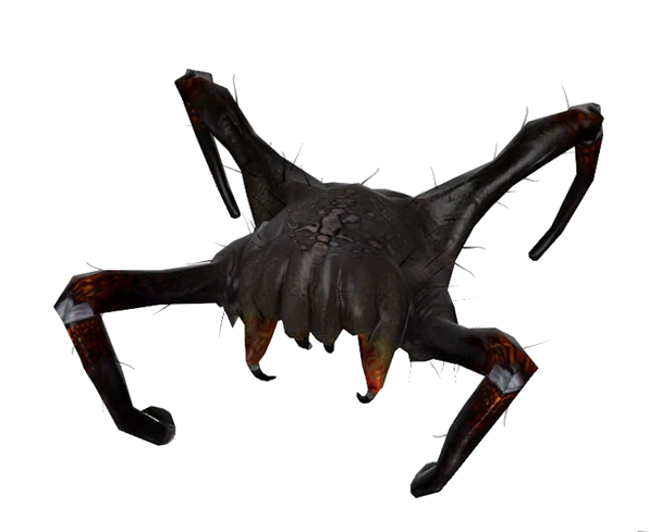 Head Crab